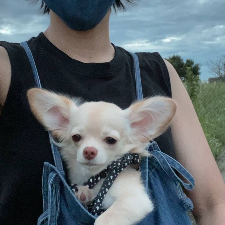 Babfd32d fa15 4ac2 a38f e6352402c2bb 1599732131270