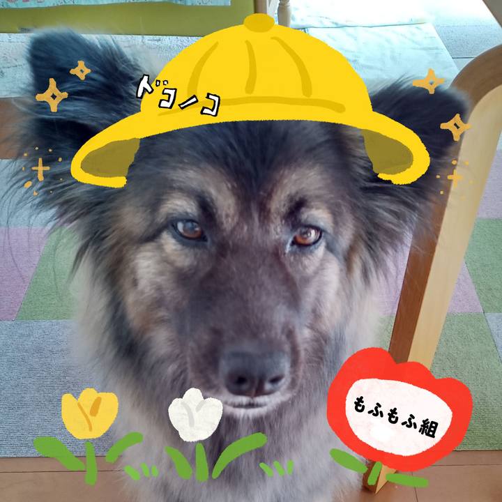 Babfd3d6 2335 44b4 989a f2e1334b89cc 1712206178653