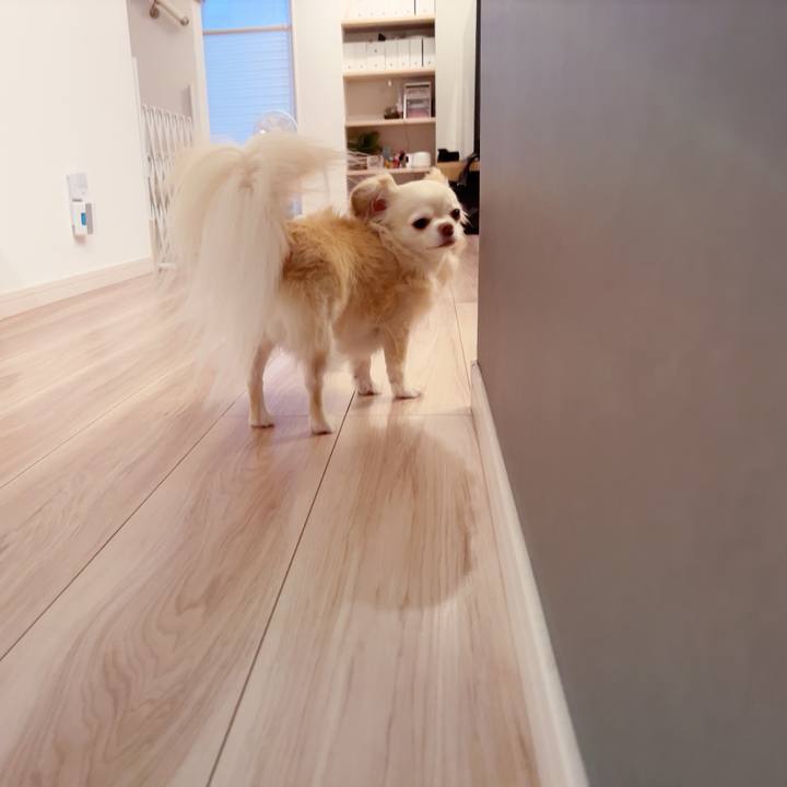 Babff8e8 fba1 4073 87a5 8a0c0b0d9575 1750344997056