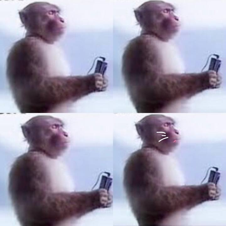 Bac032bb 7865 411e 8224 784b5a8d06ee 1562543358442