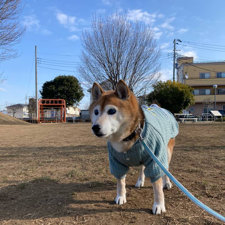 Bac04387 a1ad 4ee2 b4a1 e5dd74e9b4cd 1738374440134