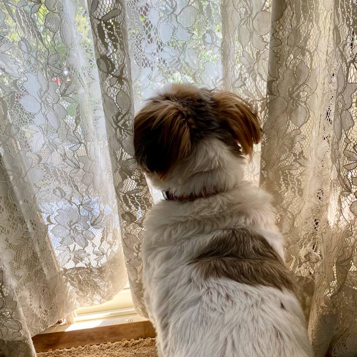 Bac04671 f35d 4f3d 979c a90bed84193f 1602556225204