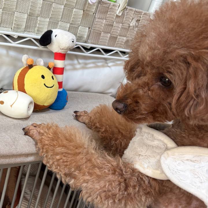 Bac055af c54b 4b48 8f6e a91eec19600b 1769727226636