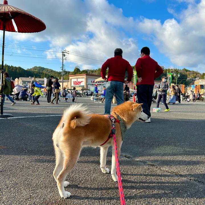 Bac05f54 dac3 40dd 8db4 1ed74ab31e09 1700383202618