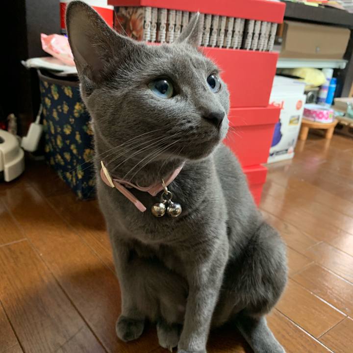 Bac06460 3dab 4458 a943 7ba7bccdb119 1569912489121