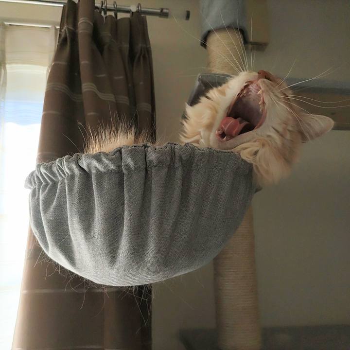 Bac07aac b398 4211 94c4 ee99a3af426e 1697973562671