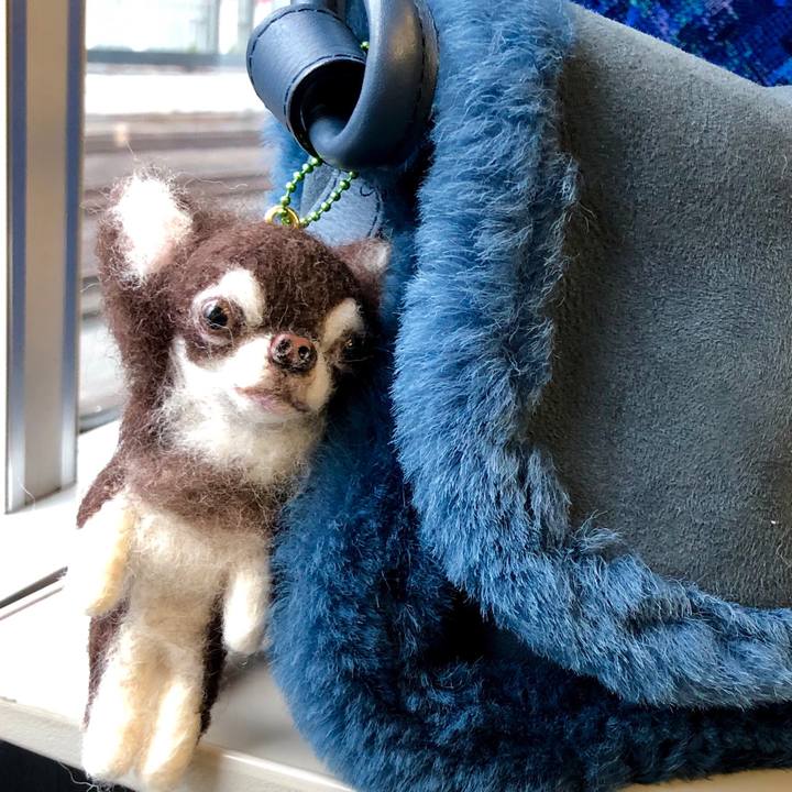 Bac08c3d 6078 4bcc 9f07 9ca7a1bfa0e3 1549633846498