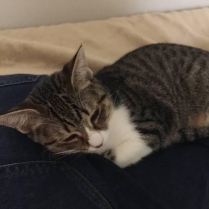 Bac0c370 f549 4aae a1a9 8fd8a80a444a 1542547724081