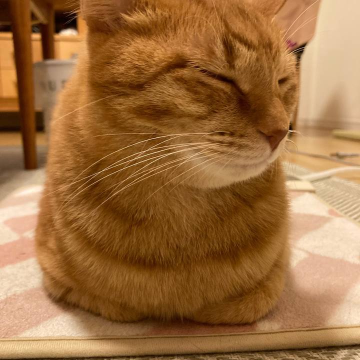 Bac0e85b a7f9 433c b908 e977a81f6e4d 1761295057347