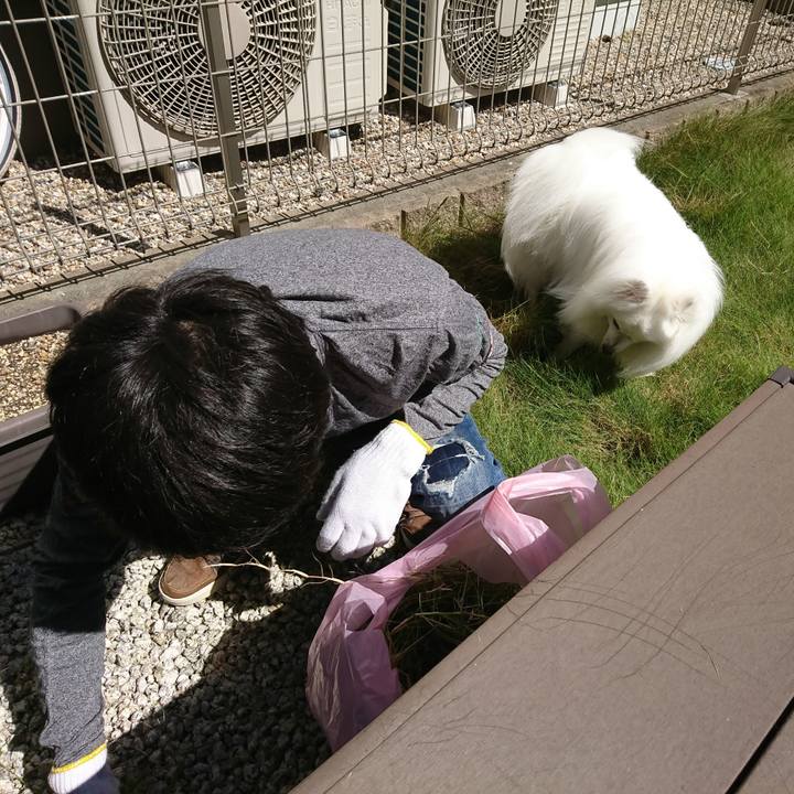 Bac1191d a227 4f63 a270 46d5f2f8f9e7 1597555276867