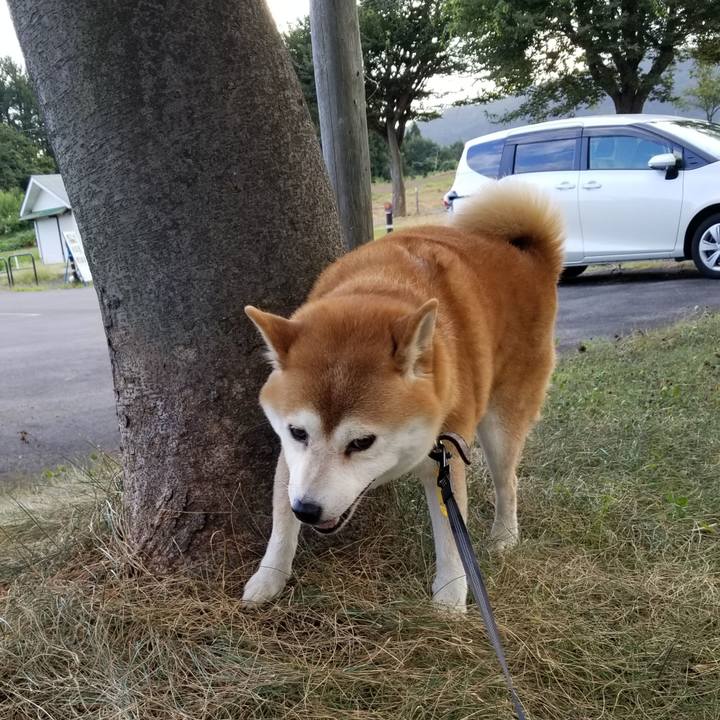 Bac1406b b0ab 4aa0 805c 48351aa8f14a 1599552644478