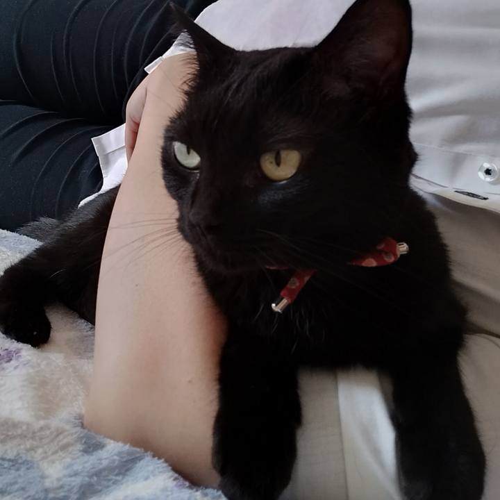 Bac1991b 879e 4316 a268 0d0188ae6382 1661726825798