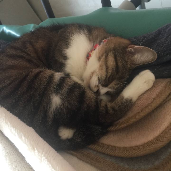 Bac1cebc 2c57 49cf 898b 8dd3e3883e9c 1569025134144