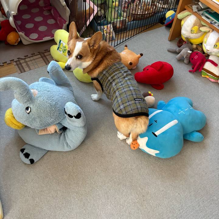 Bac1e1b7 bb4e 40f3 b7c5 a61806e67c91 1760651422720