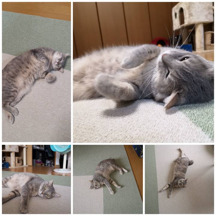 Bac20105 fd22 40f1 8503 fd97a83d69de 1588770513443