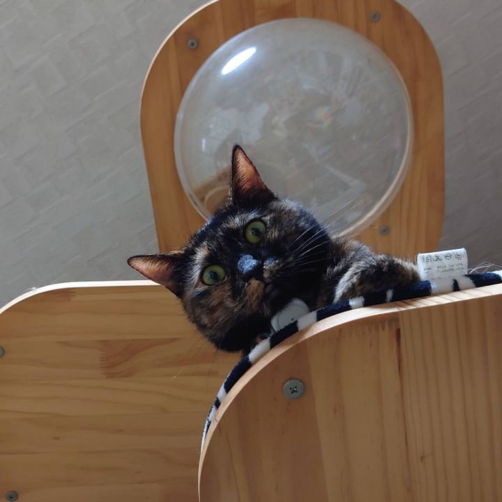 Bac22b51 0308 4d15 957c 82ffc82a33fe 1626311316474