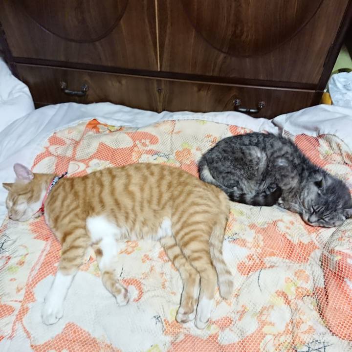 Bac26863 80ef 4cfd adfd 9abd71d237e6 1569241240613