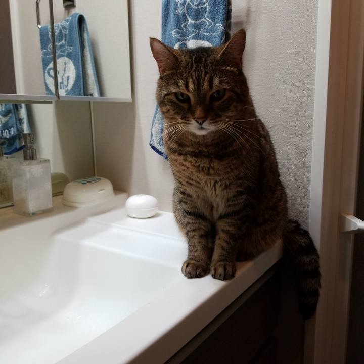 Bac27d17 8641 45fd 9ac3 88298378036f 1569361207680