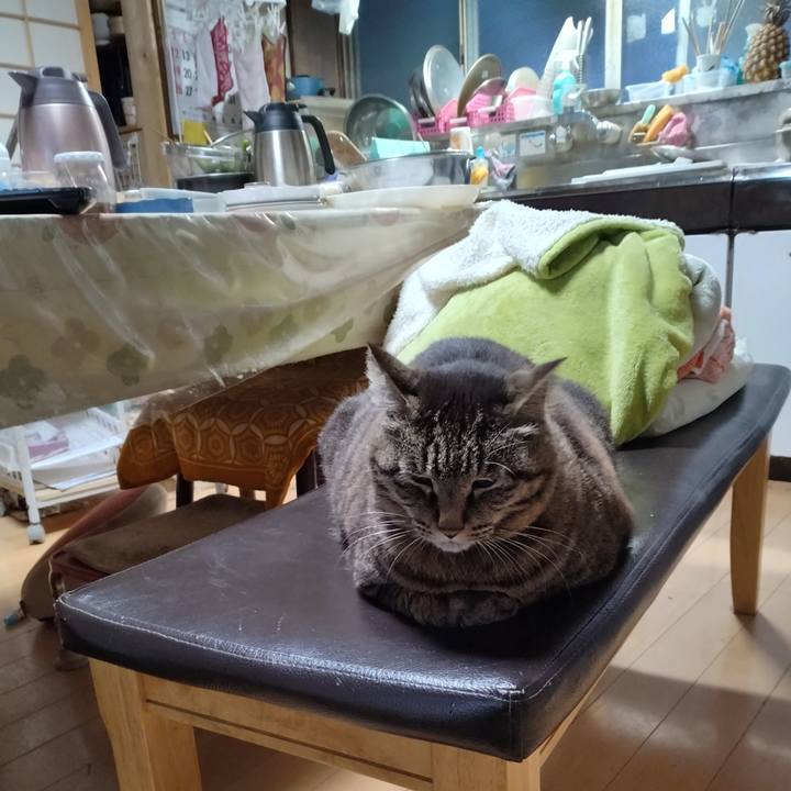 Bac30718 7b60 4dac a5b3 ff53479ad1ab 1716892553949