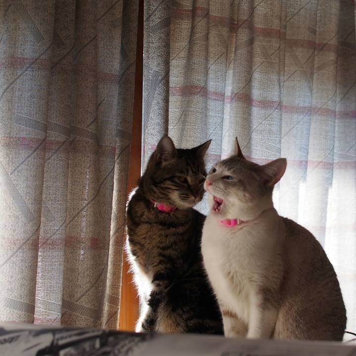 Bac32338 e5de 4e7c 8a62 b7b06bb9c54c 1519280842299