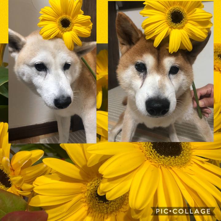 Bac34abe 711d 4ca6 b323 d71b1169beec 1572475015337