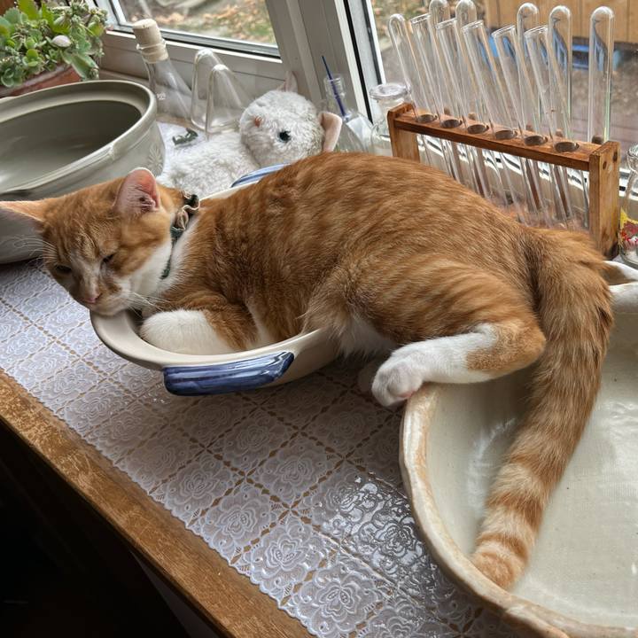 Bac361bb a97d 4084 b09d 832a24bd2cf3 1668302287099