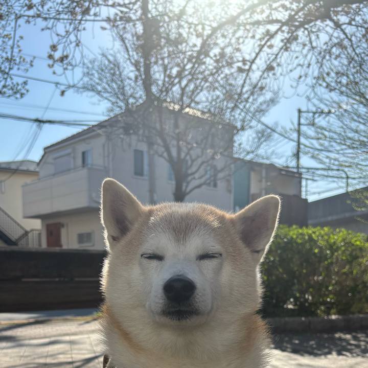 Bac3758c 8c72 452a ba0d 4961982884dd 1743884963632