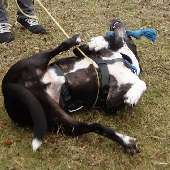 Bac399ab 12d0 468f ad19 4dcfab2360e6 1637456453971