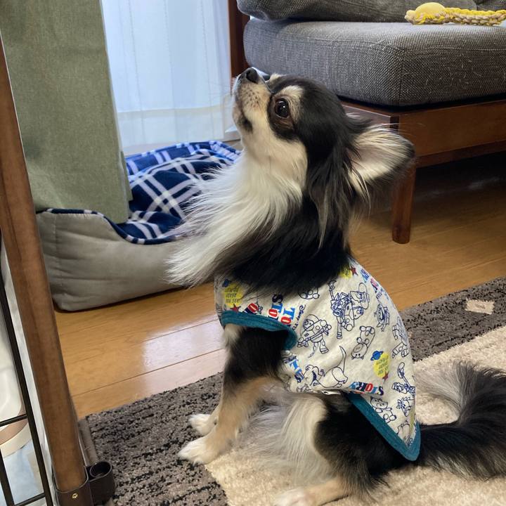 Bac43e1a 5c4c 42cf 8f69 80bed6970709 1616816786077