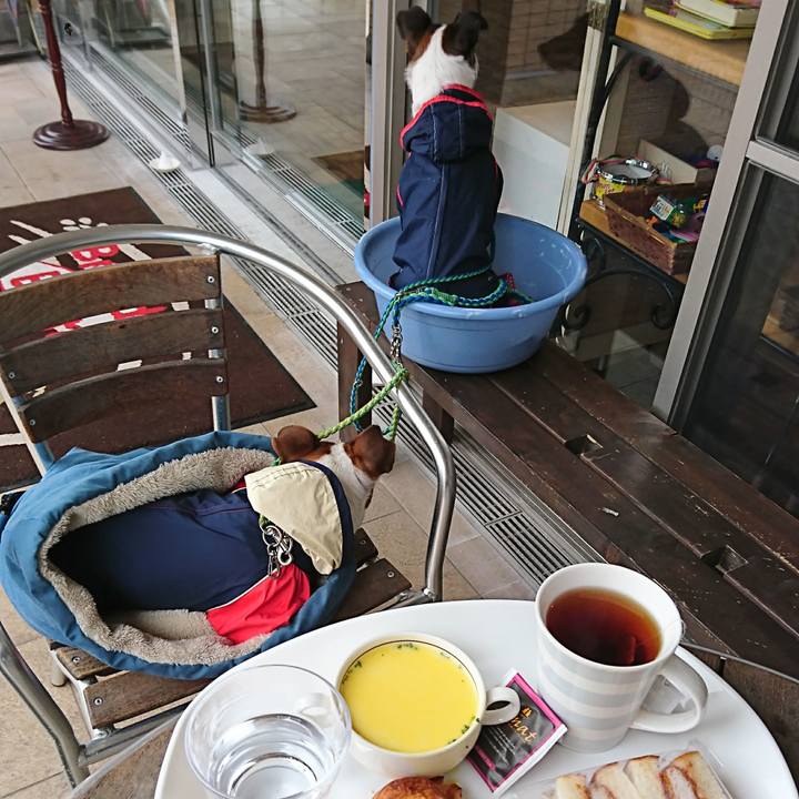 Bac4806a 68eb 44fa 92a1 4cc51b1a828b 1615175521371