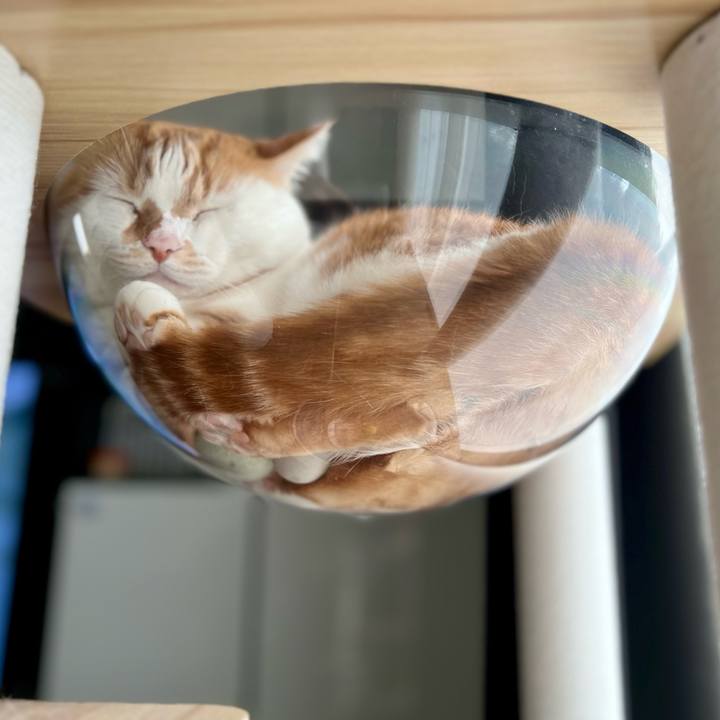 Bac49126 bfb8 4427 b386 c0c4a9cb313d 1760495329166