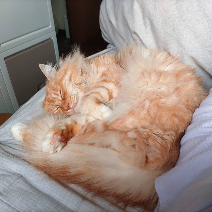 Bac4926b 2a5f 4e17 bfaf e85bac25d6ce 1685065624465