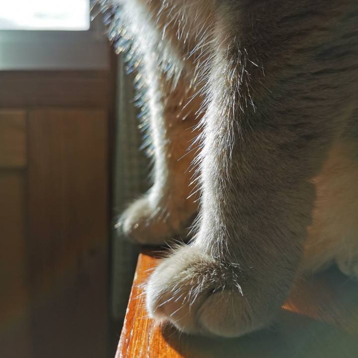 Bac4b053 70d4 432e accd d6e306e5d2e4 1662610441278