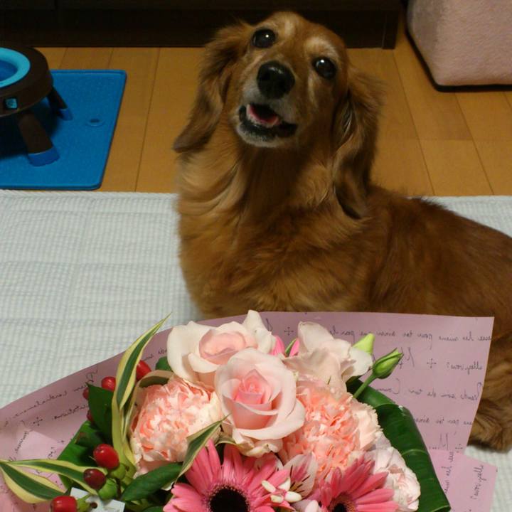 Bac4b834 d503 4e00 b2bb 9fc05cb81b3b 1559927701698