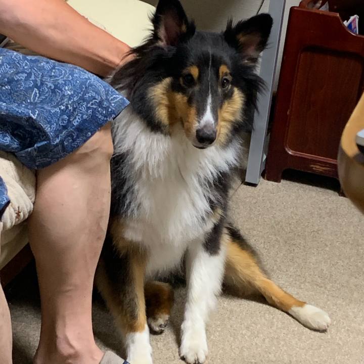 Bac4baa7 1dde 4e6b a84e 9977e291891f 1567372577324