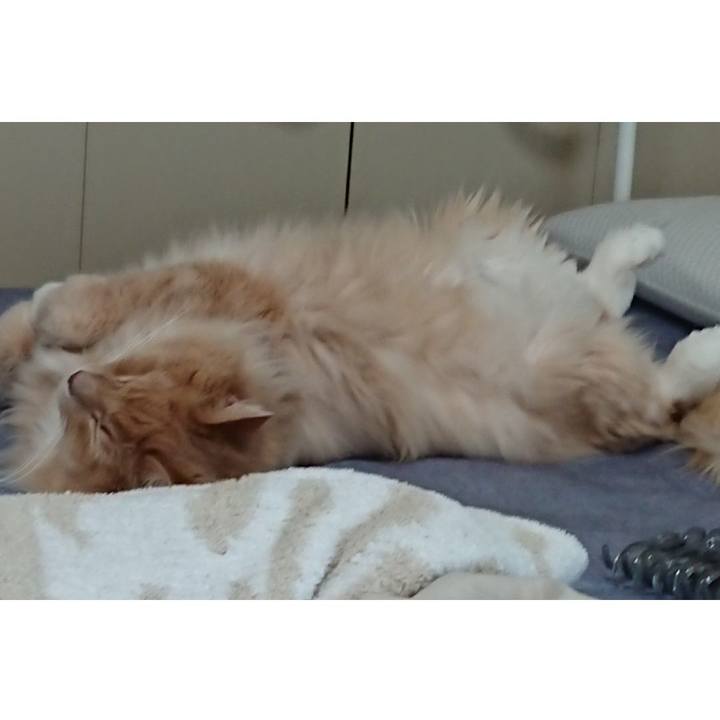 Bac4bda9 e9f9 460f a3f9 2de660d88f83 1562729182429