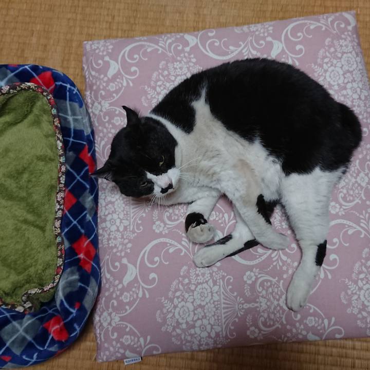 Bac4f7c3 69fb 4f8f bd9d b1733a88044d 1667733342077