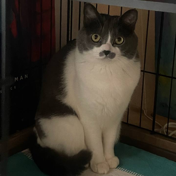 Bac502c2 db1d 450d b99f 7112ea9140fe 1733550940533