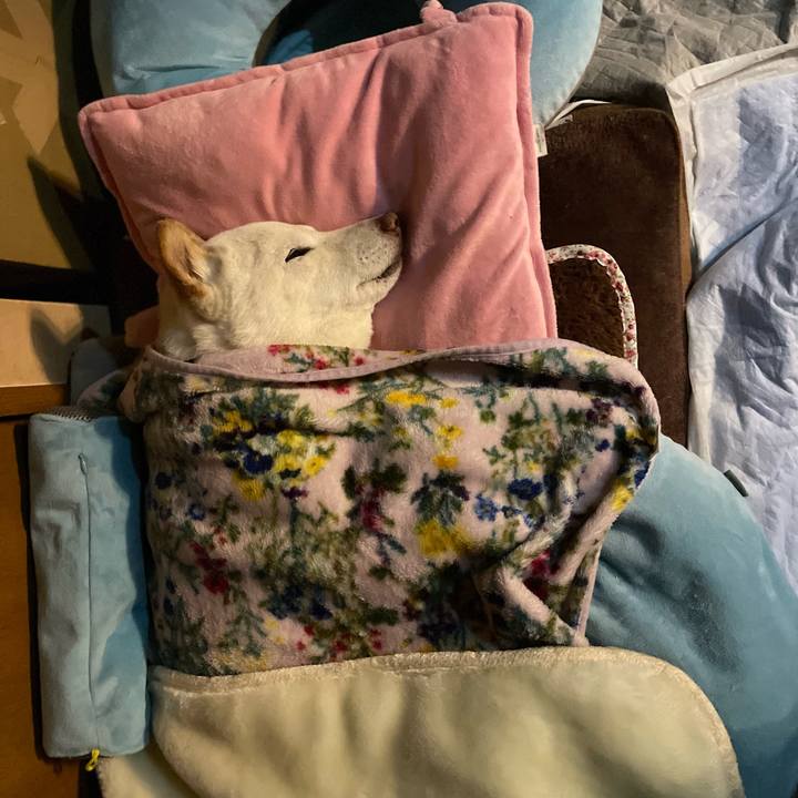 Bac53b20 63ce 4ff3 984f afe5e2cd5cf9 1648138746473