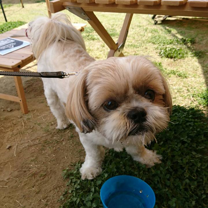 Bac556c3 54b0 483b ab17 aa9b8613c282 1555833119652