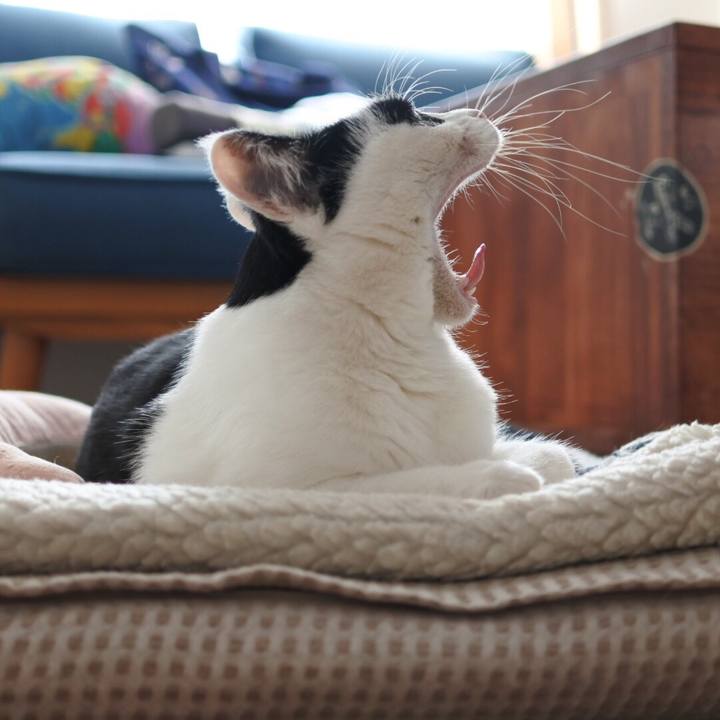 Bac55883 fbc5 467b 8393 61009536f485 1512519091921