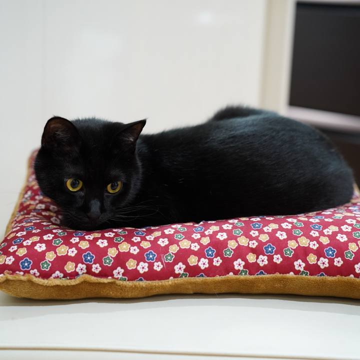 Bac5b106 547b 433e bcbd 945b50b90793 1571097003098