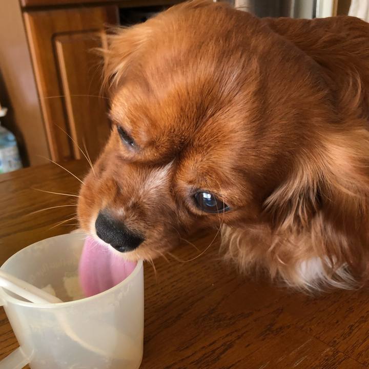 Bac5f49f 421c 46b6 b44e 7ade91243768 1527915093605