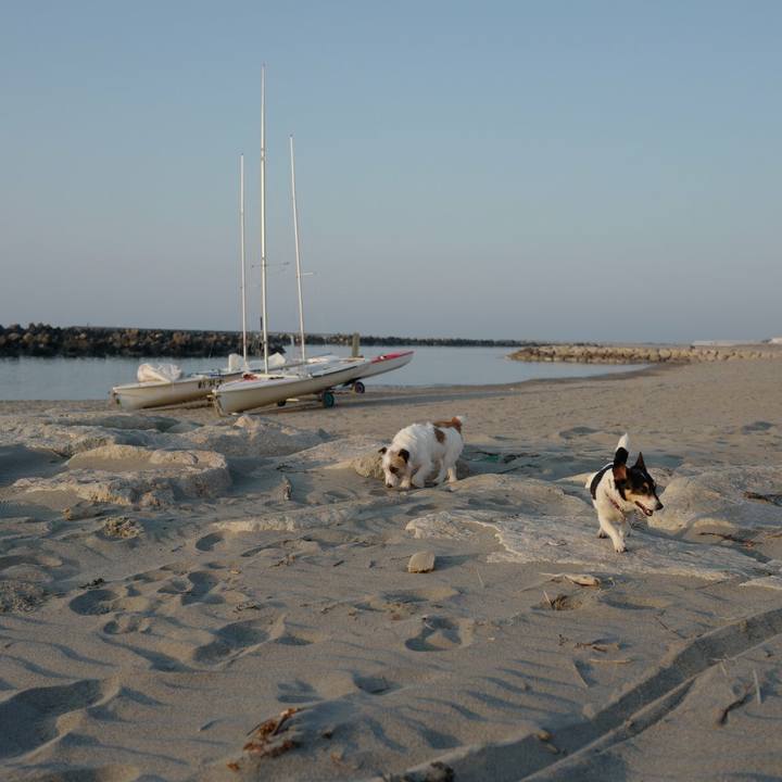 Bac623f2 bb7d 49dd 84bc 9b4545d0d981 1522211718227