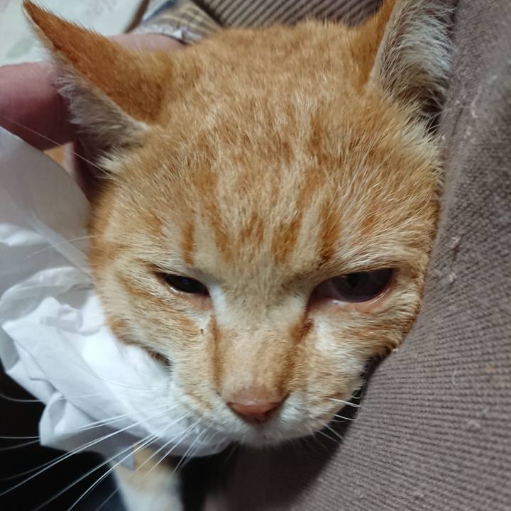 Bac6365d 3b07 4e76 a4c2 dc8072e301ea 1584441101759