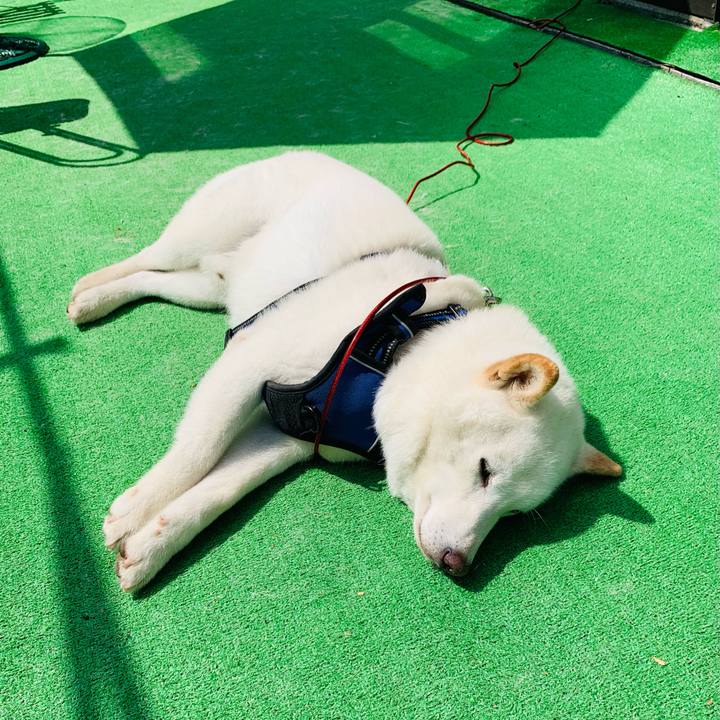 Bac65df5 7d41 4284 a9f7 3a323a87ec2a 1626842414628