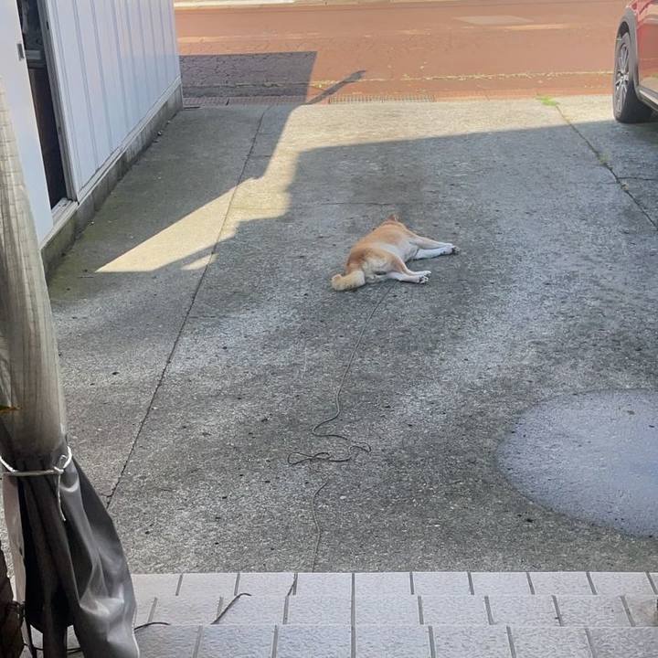 Bac6663e 6f26 4e85 9a5a 8681c994c10a 1725842493196