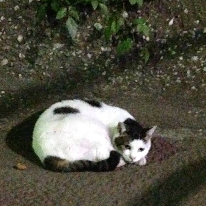 Bac6755a cf01 4509 8bbe 91406519c962 1507643431150