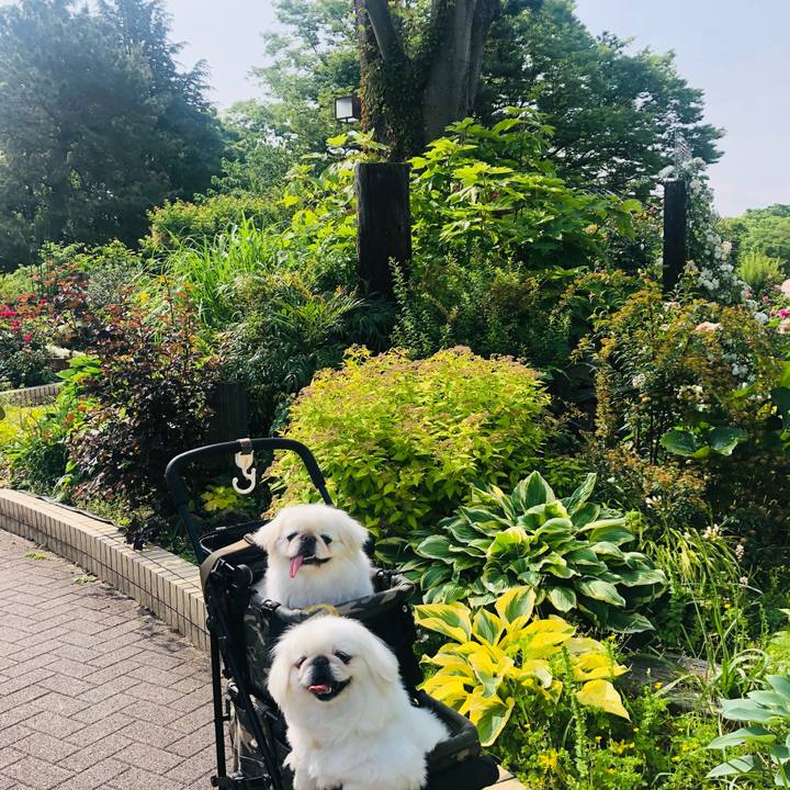 Bac67b57 ca84 430d bd16 3ce0ded21e48 1620976355760