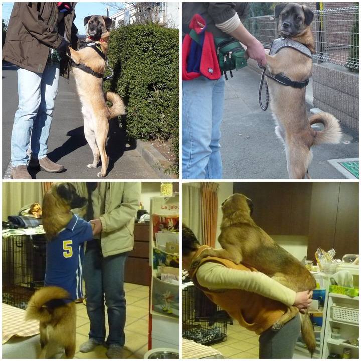 Bac67f9d 7772 4d68 8a91 96bafe1e3dcb 1576579802111